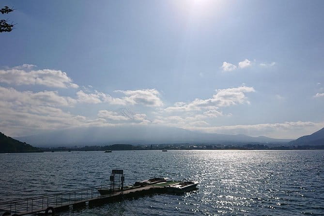 1 Day Charter Tour to Mt Fuji View - Customer Reviews and Experiences