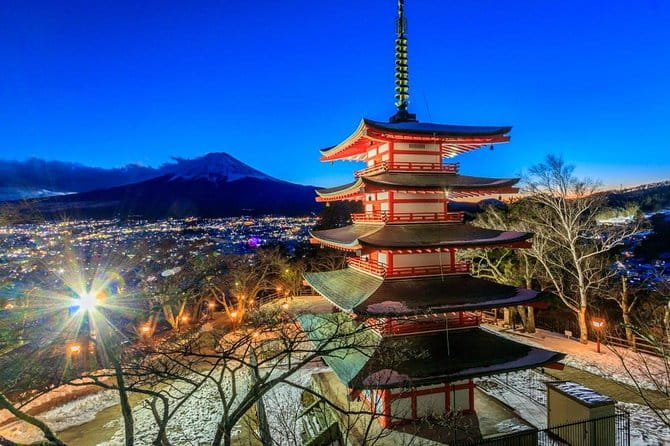 1 Day Charter Tour to Mt Fuji View - Pricing and Booking