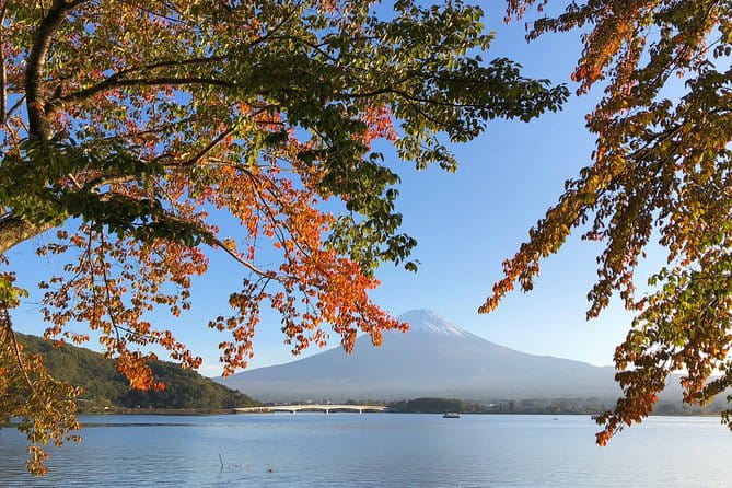 1 Day Charter Tour to Mt Fuji View - Getting the Most Out of Your Tour