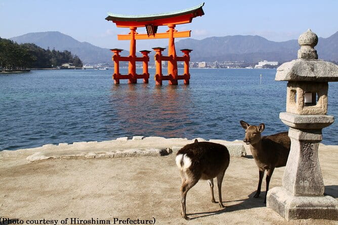 1 Day Hiroshima and Miyajima Tour by Bullet Train From Osaka - Cancellation Policy