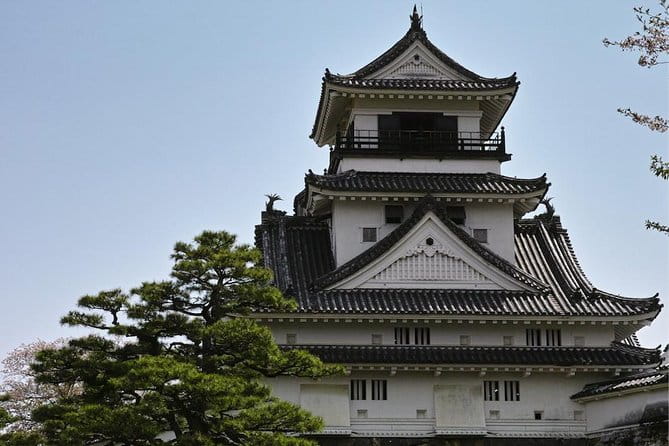 1-Day Kochi Highlights Tour With Local Guide - Key Attractions and Activities