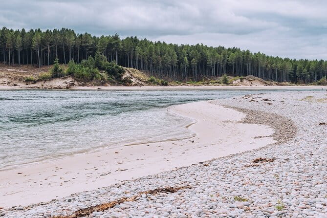 1-Day Moray Coast Tour With Speyside Whisky From Inverness - RSPB Troup Head Nature Reserve
