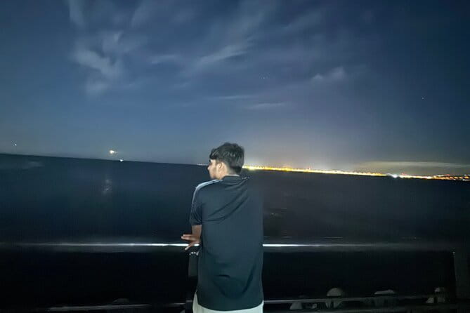 1 Day Osaka Private Tour With English Speaking Guide - Inclusions