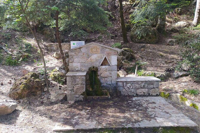 1 Day Parnitha Athens Private Hiking Tour with Hotel Pickup - Final Thoughts