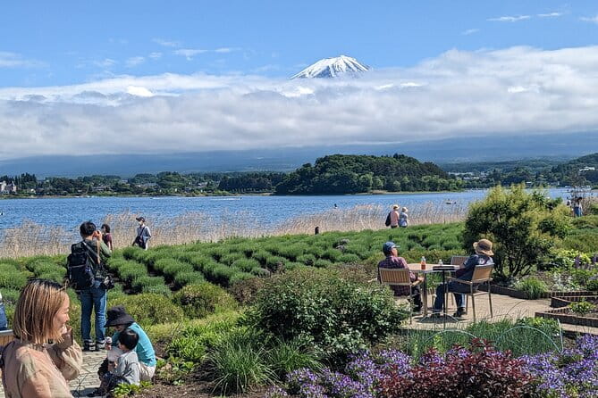 1 Day Private Mt Fuji & Lake Kawaguchiko English Speaking Driver - Inclusions and Customization