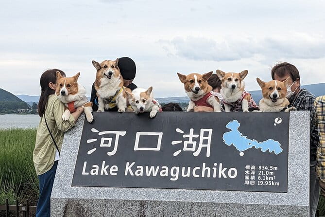 1 Day Private Mt Fuji & Lake Kawaguchiko English Speaking Driver - Accessibility and Additional Information