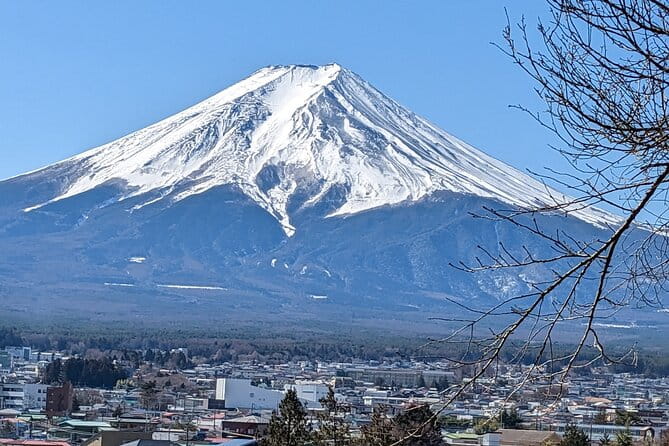 1 Day Private Mt Fuji & Lake Kawaguchiko English Speaking Driver - Itinerary Suggestions