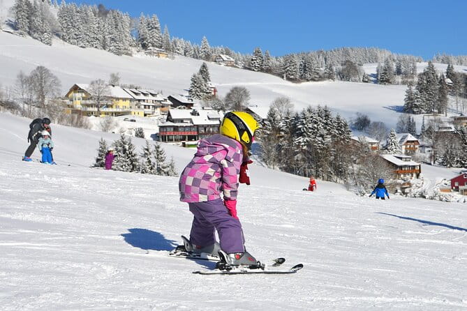 1-Day Private Ski Lesson From Tokyo/Optional Mt. Fuji Sightseeing - Pricing and Inclusions