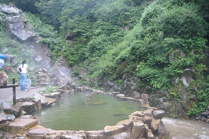 1-Day Private Snow Monkey ZenkoJi Temple & SakeTasting NaganoTour - Highlights of the Snow Monkey Park