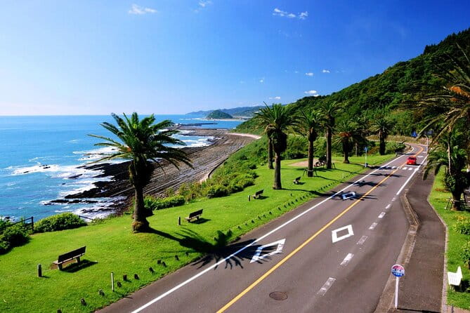 1 Day Private Tour to Miyazaki Nichinan - Pricing and Booking Information