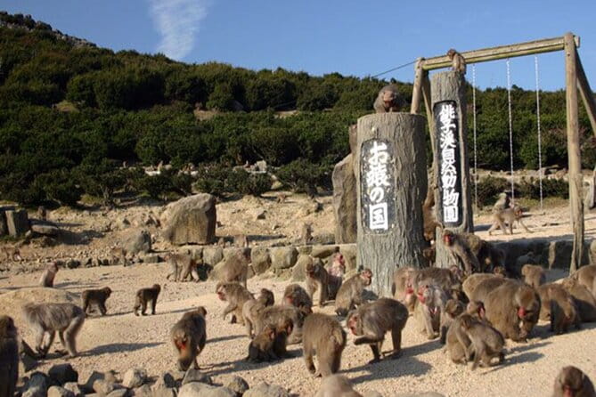 1-Day Shodoshima Island Bus Tour - Inclusions of the Tour