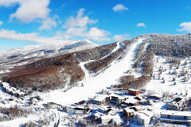1 Day Ski Tour Package Easy Departure From Nagano Station - Key Points