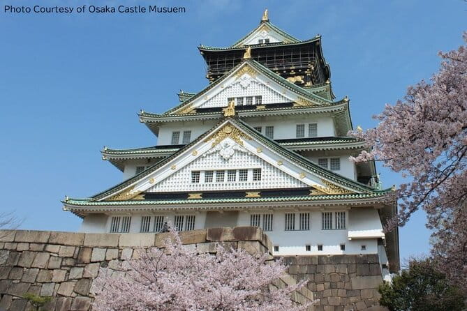 1 Day Takoyaki Making and Osaka Castle Walking Tour - Key Points