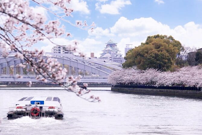 1 Day Takoyaki Making and Osaka Castle Walking Tour - Inclusions and Exclusions