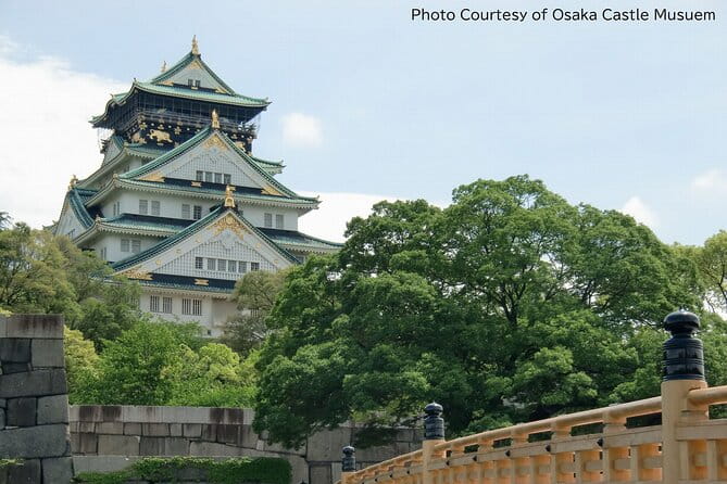 1 Day Takoyaki Making and Osaka Castle Walking Tour - Accessibility Information