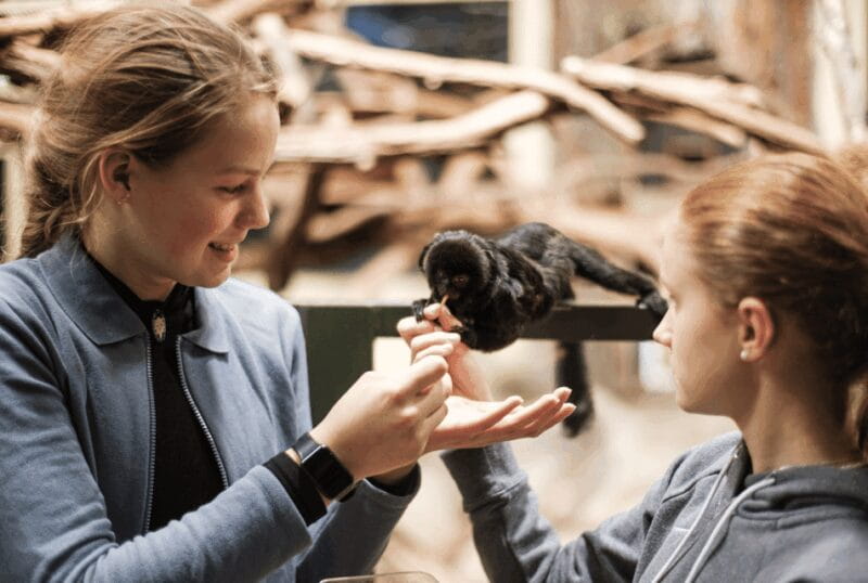 1-day ticket for Schwerin Zoo - Walking Through Schwerin Zoo: A Detailed Look