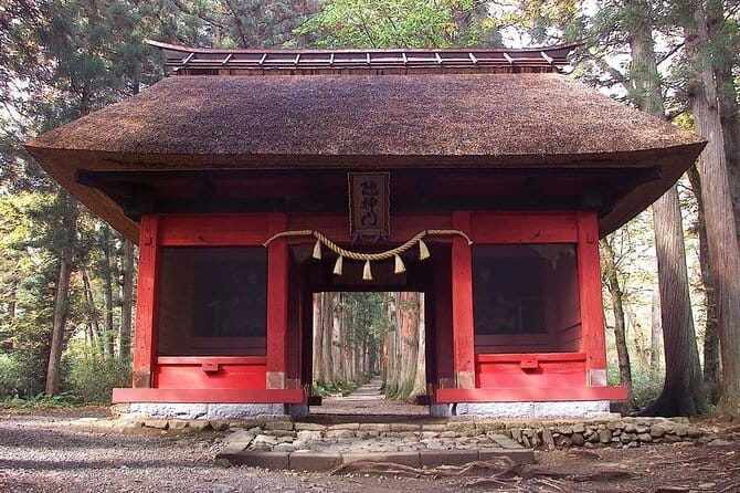 1-Day Togakushi Tour: Soba Making, Ninja Town, and Hidden Shrines - The Giant Cedar Avenue
