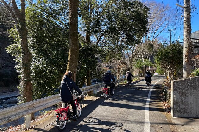 1 Day Tokyo Backcountry Okutama With E-Bike - Culinary Delights: Lunch and Local Sweets