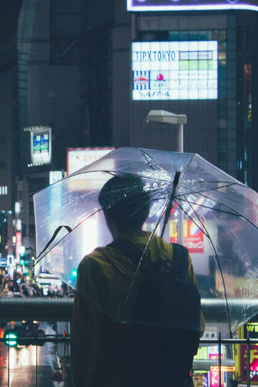 1-Day Tokyo Essence Tour Review: Is It Worth It - Inclusions