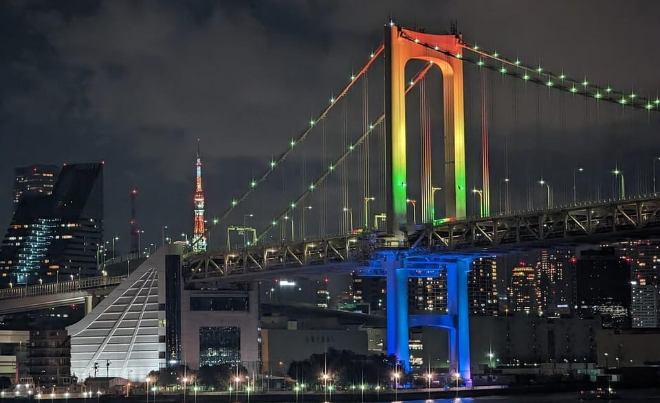1-Day Tokyo Essence Tour Review: Is It Worth It - Scenic Views and Shopping Opportunities