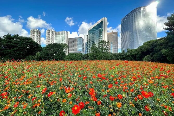 1 Day Tokyo Private Bus Tours + License Guide + Sweets Matcha Set - Itinerary and Schedule