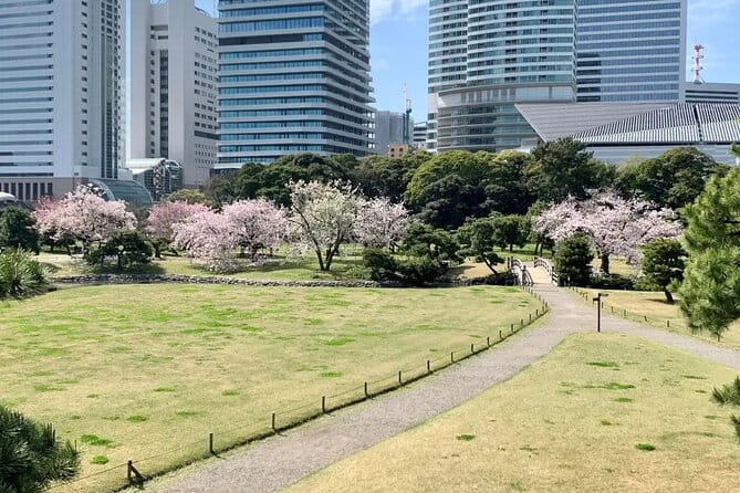 1 Day Tokyo Private Bus Tours + License Guide + Sweets Matcha Set - Tips for a Memorable Tour