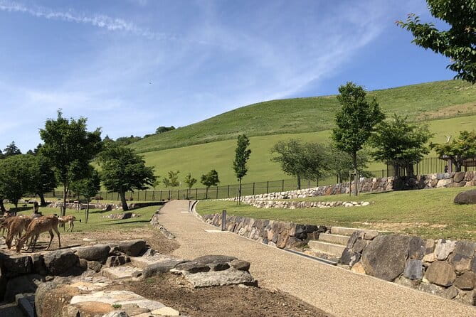 1 Day Walking Tour in Nara Palace Deer and Inkstick - Practical Information and Tips