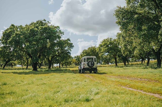 1 Day Wine Tour Around Évora - Final Thoughts