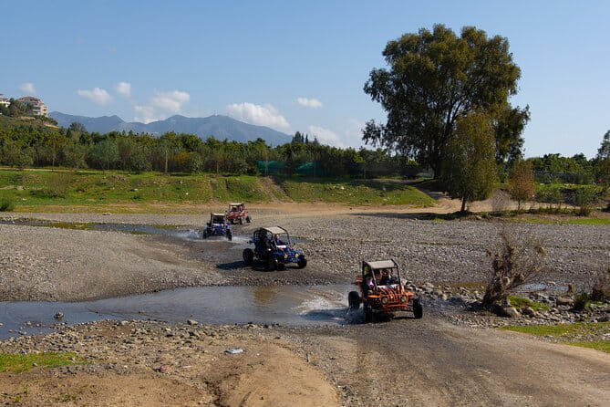 1 Hour Buggy Safari Experience in the Mountains of Mijas with Guide - Introducing the 1-Hour Buggy Safari Experience in Mijas Mountains