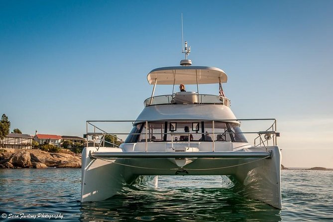 1 Hour Coastal Catamaran Cruise From Cape Town - Cancellation Policy