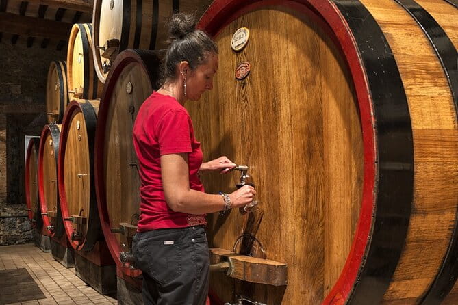 1-Hour Experience with Brunello. Visit to the Vineyard and Cellar - The Tasting: A Flavourful and Informative Moment