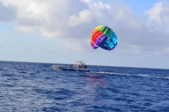 1-Hour Hawaiian Parasailing in Waikiki - Interaction With Marine Life