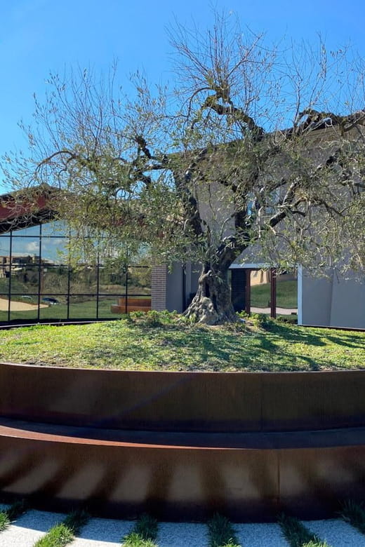 1-Hour Private Tour of the Oil Mill with Tasting - Unique Setting and Authentic Experience in Umbria