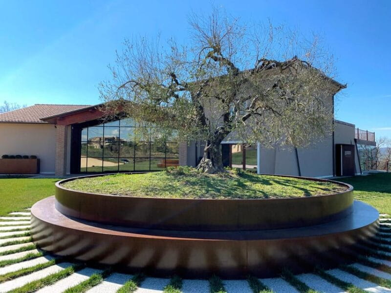 1-Hour Private Tour of the Oil Mill with Tasting - Practical Considerations: Logistics and Value