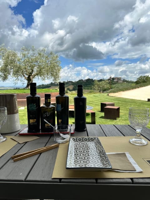 1-Hour Private Tour of the Oil Mill with Tasting - Final Thoughts: Authentic Flavors and Beautiful Views