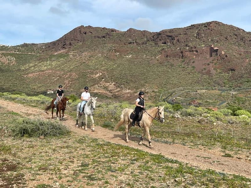 1 hour relaxing horse riding tour in Gran Canaria - Key points / Takeaways