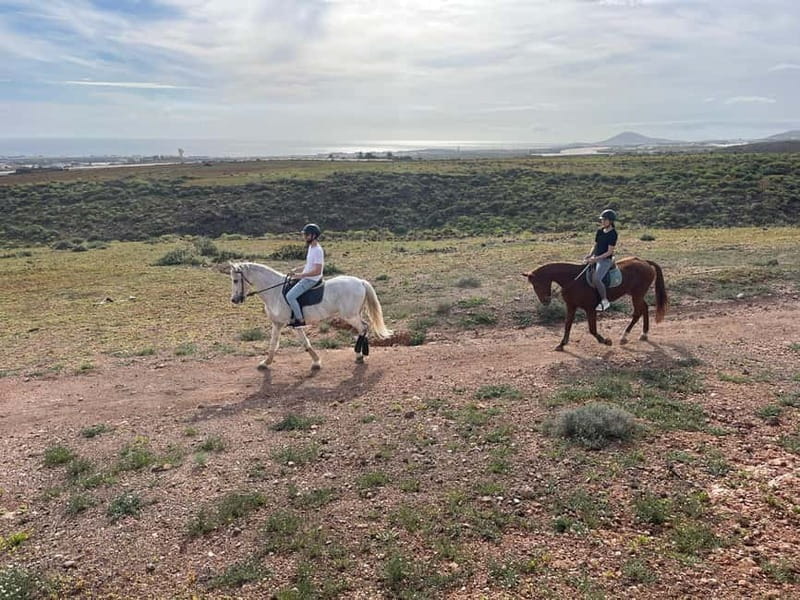 1 hour relaxing horse riding tour in Gran Canaria - The Allure of a Gentle Ride Through the Canary Countryside