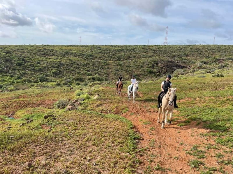 1 hour relaxing horse riding tour in Gran Canaria - Practical Details: Planning Your Visit