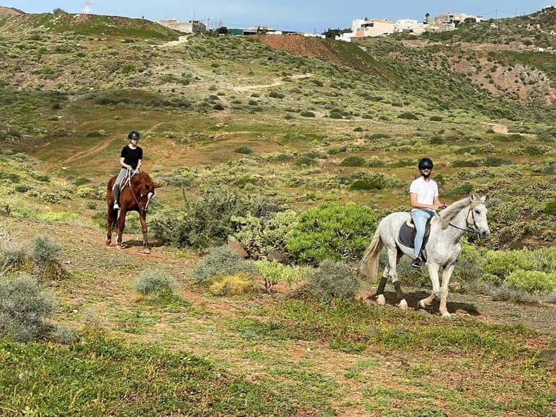 1 hour relaxing horse riding tour in Gran Canaria - Price, Value, and Booking Tips