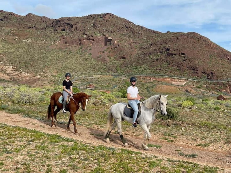 1 hour relaxing horse riding tour in Gran Canaria - Final Thoughts: Who Should Consider This Ride?
