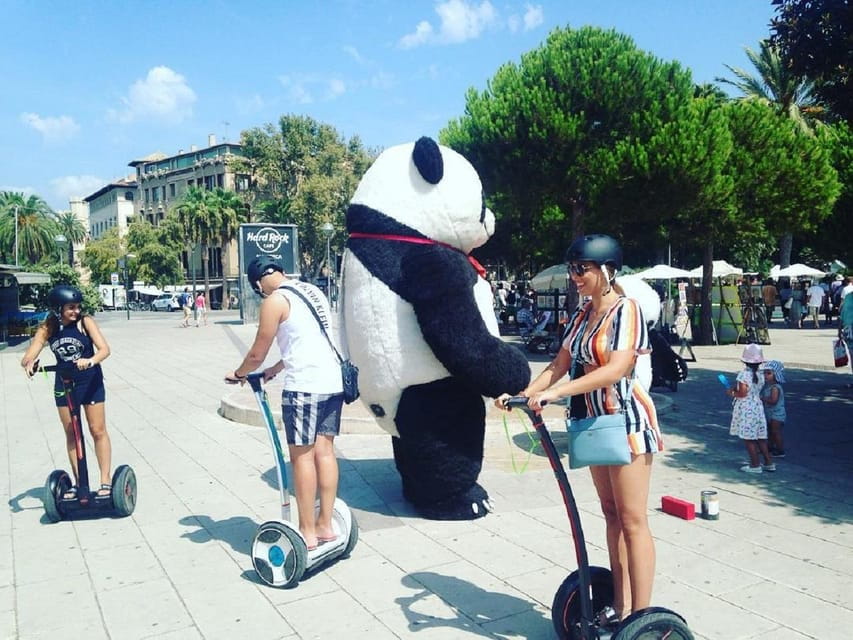 1 Hour Segway Tour in Palma De Mallorca - Safety Precautions