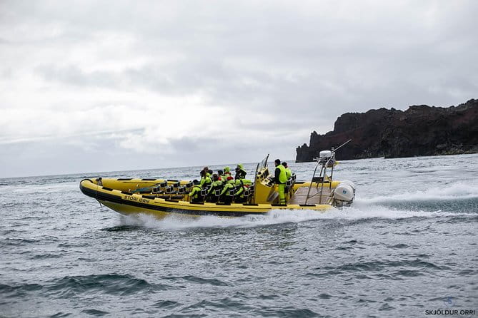 1-Hour Small Group Sightseeing Boat Tour in Vestmannaeyjar - FAQ
