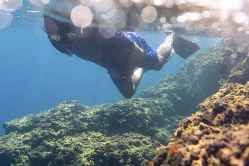 1-Hour Snorkeling Tour in Paraggi Bay, Portofino - Introducing the Snorkeling Adventure in Paraggi Bay