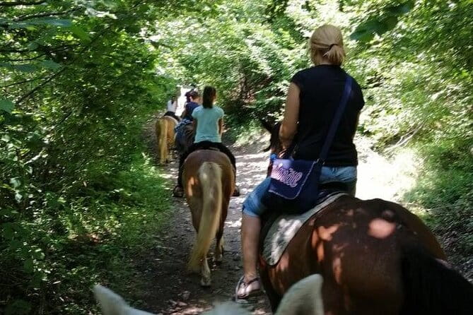 1 Hour Waterfalls Canyon Private Horse Riding in Smolyan - Why This Horse Ride Is a Unique Adventure in Bulgaria