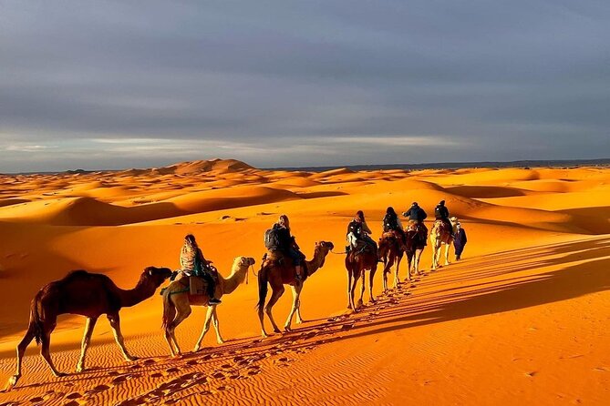1 Night Camel Trekking in Merzouga - Inclusions and Exclusions