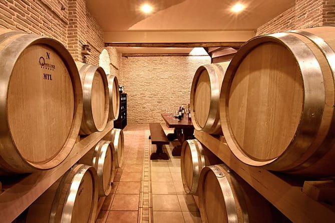 1. Wine Tour Nemea: The Lion of Nemea - Key Points / Takeaways