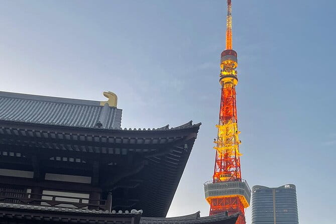 10 Day All Inclusive Japan Private Tour Across 6 Cities - Accessibility and Participation