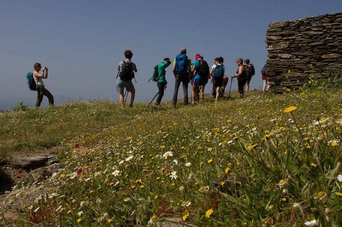 10-Day Inn-to-Inn Self-Guided Trekking Holiday Andros Trail - Cyclades - Exploring the Details of the Andros Trekking Tour