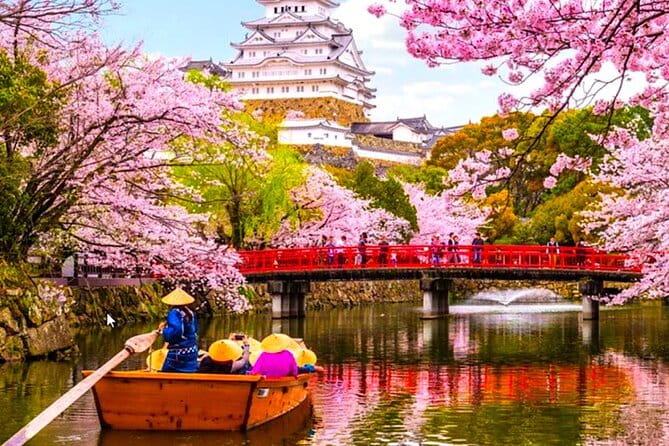 10-DAY Private Sightseeing Tour in Japan More Than 60 Attractions - Accommodation and Pricing