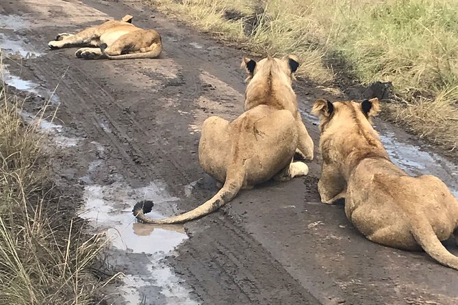 10 Day Private Uganda and Rwanda Safari With Accommodation - Reviews and Accolades